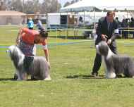 IMG_6189-Flynn-Will-Thursday