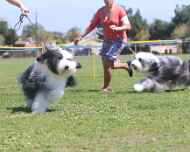 IMG_6218-Patton-Flynn-Thursday