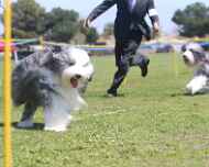 IMG_6221-Patton-Will-Thursday