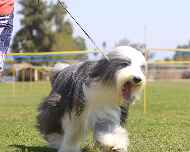 IMG_6282-Patton-Thursday