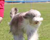 IMG_6152-Violet-Thursday