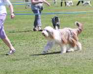 IMG_7083-Abbit-Friday
