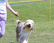 IMG_7106-Abbit-Friday