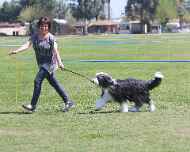 IMG_7108-Tess-Friday