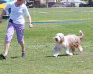 IMG_7119-Abbit-Friday