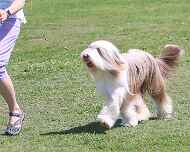 IMG_7134-Abbit-Friday
