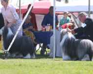 IMG_6818-Murphy-Migo