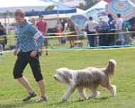 IMG_9012-Abbit-Specialty-am