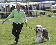 IMG_9078-Mae-Specialty-am