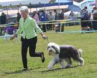 IMG_9133-Mae-Specialty-am