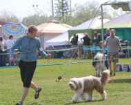 IMG_9144-Abbit-Specialty-am