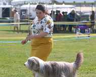 IMG_9162-Violet-Specialty-am