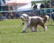 IMG_9169-Specialty-am