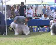 IMG_8356-Bart-Paco-Migo-Specialty-am