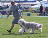 IMG_8533-Paco-Specialty-am