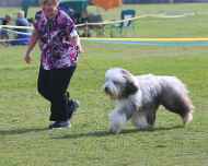 IMG_7847-Nike-Puppy Sweepstakes