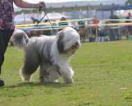 IMG_7905-Nike-Puppy Sweepstakes