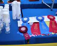 IMG_7751-Trophies-Ribbons-2018
