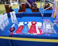 IMG_7753-Trophies-Ribbons-2018