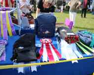 IMG_7755-Trophies-Ribbons-2018