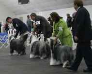 IMG_5998-bart-erik-no 15