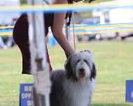 IMG_9497 tootsie