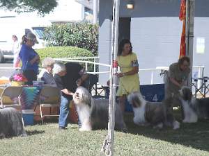 06 09 Woofstock-Thursday