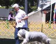 IMG_0450