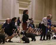 IMG_9083