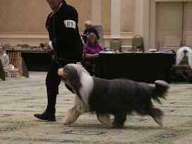 10 13 BCCA National-Thursday-Sweepstakes