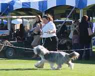 IMG_0181-tootsie