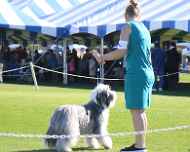 IMG_0253-tootsie