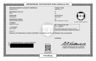 OFA Thyroid