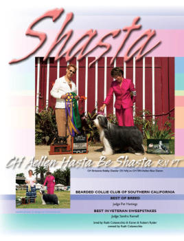 Shasta - Grand Dam to Z - Aellen Hasta Be Shasta