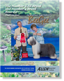 BeeGee, Z's dam