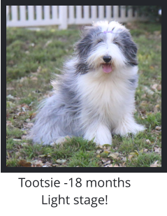 Tootsie growing up