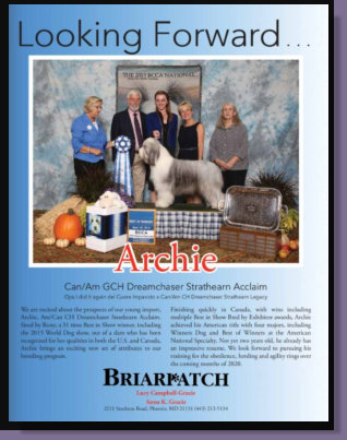 Archie