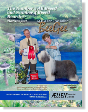 BeeGee, Z's dam