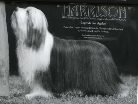 Harrison on the cover of the BCCA Bulletin