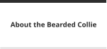 About the Bearded Collie
