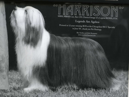 Harrison on the cover of the BCCA Bulletin