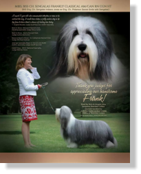 Frank-Z's Sire- Sengalas Frankly Classical