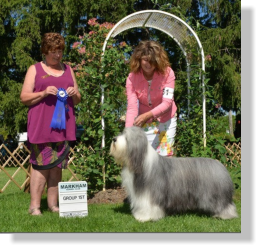 Frank-Z's Sire- Sengalas Frankly Classical