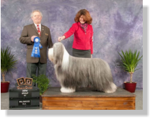 Frank-Z's Sire- Sengalas Frankly Classical