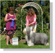 Frank-Z's Sire- Sengalas Frankly Classical