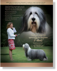 Frank-Z's Sire- Sengalas Frankly Classical